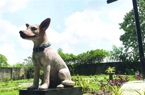 jose rizal drawing|usman dog of rizal pictures.
